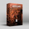 SQ_-_JAGUAR_540x.jpg