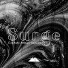 surge_1637254033.jpg