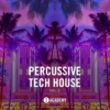 Toolroom-Percussive-House-Vol.-2-Artwork-scaled-e1701694122130.png