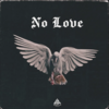 No Love Artwork.png