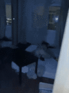 IMG_0276.gif IMG_0276.gif